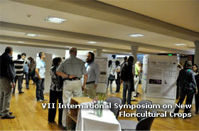 VII International Symposium on New Floriculture Crops